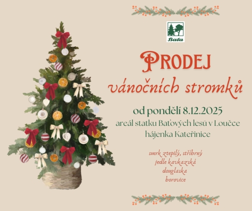 PRODEJ VÁNOČNÍCH STROMKŮ