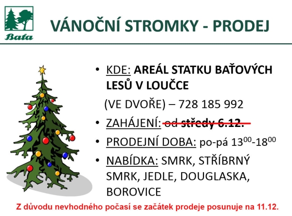 VÁNOČNÍ STROMKY - PRODEJ