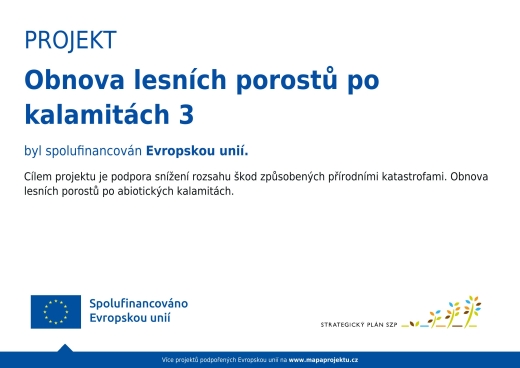 Projekt – OBNOVA LESNÍCH POROSTŮ PO KALAMITÁCH 3
